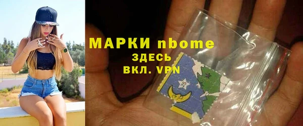 молекула духа Няндома