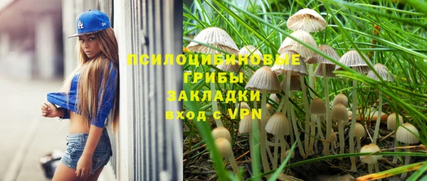 спиды Осташков