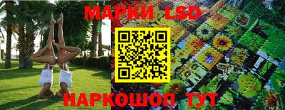 винт Сланцы