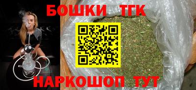 винт Сланцы