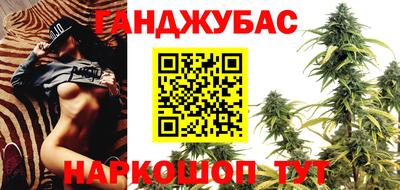 винт Сланцы